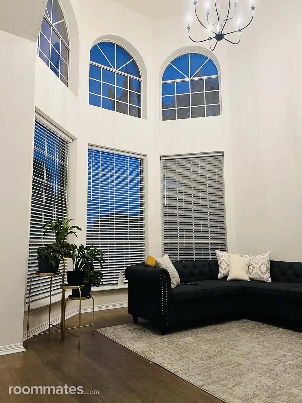 Profile photo 7 of 10