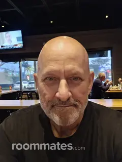 Roommate looking Plantation, FL, $1100