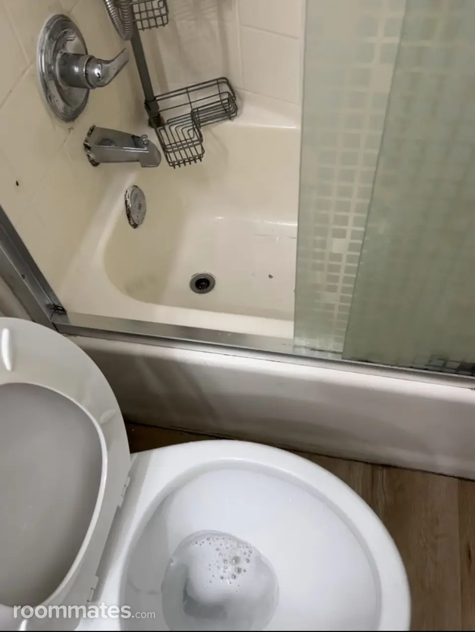 Profile photo 2 of 3