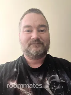 Roommate looking St. Louis, MO, $600