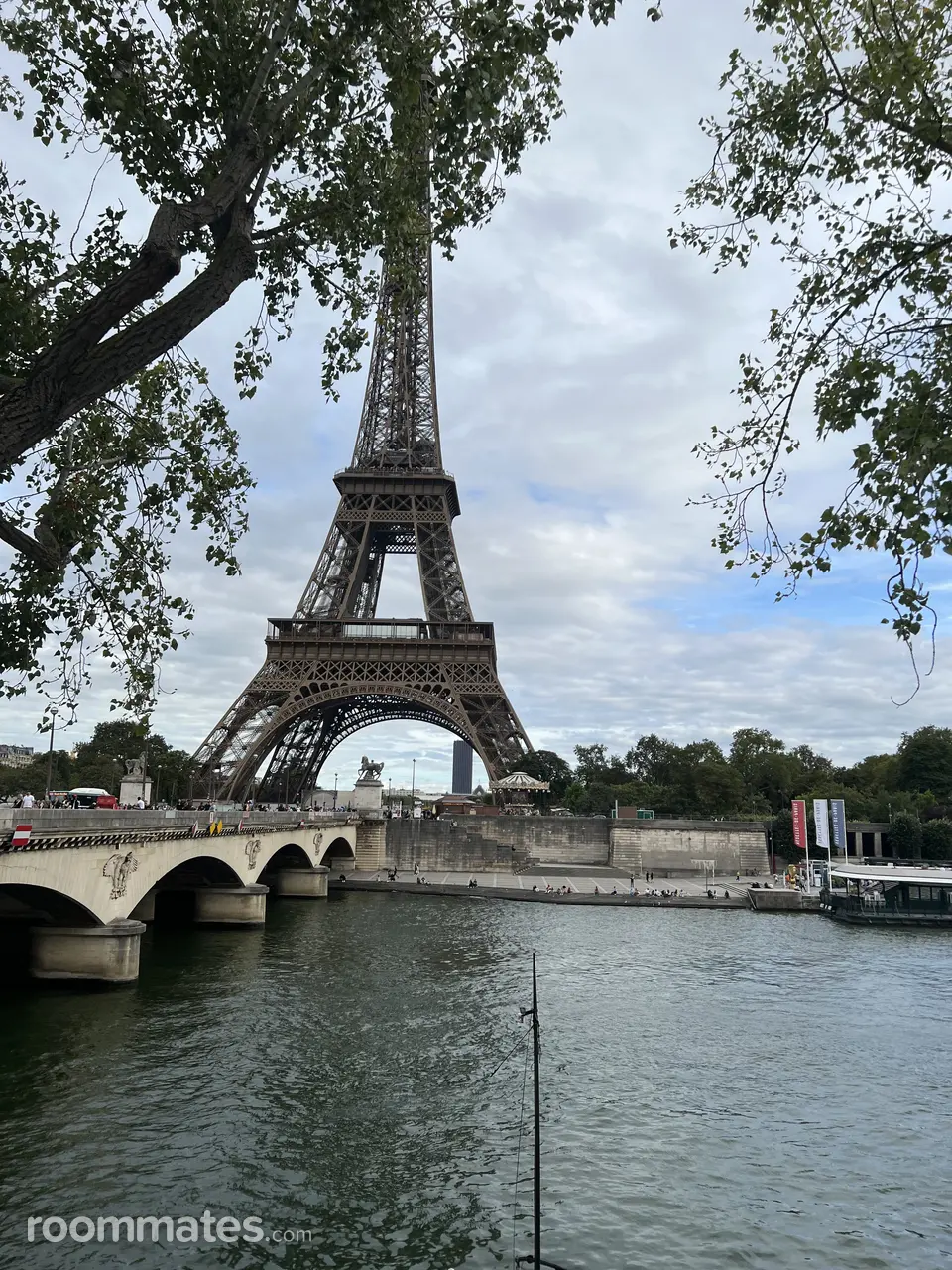 Profile photo 6 of 6