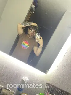 Roommate looking Houston, TX, $600