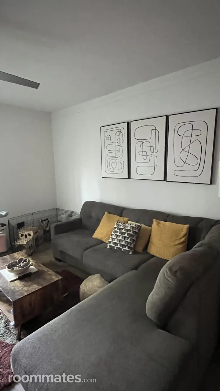 Profile photo 12 of 18