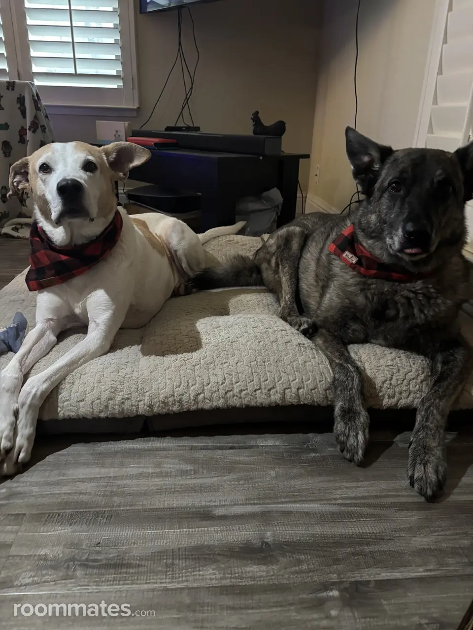 Profile photo 3 of 3