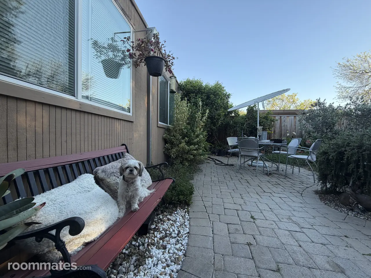 Profile photo 9 of 11