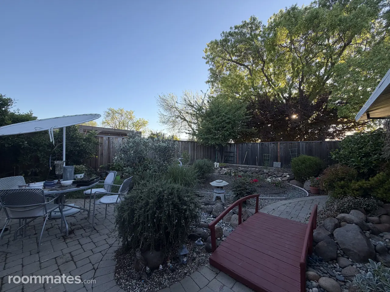 Profile photo 8 of 11