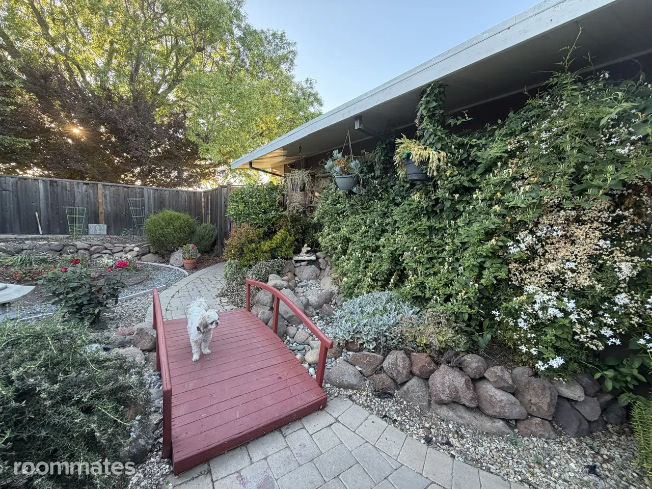 Profile photo 10 of 11