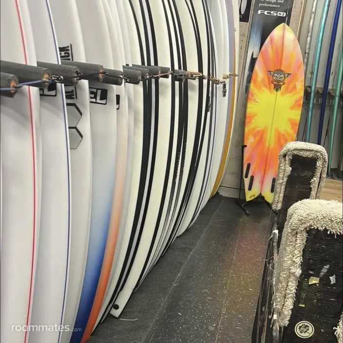 Roommate looking Deerfield Beach, FL, $900