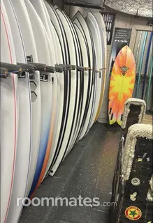 Roommate looking Deerfield Beach, FL, $900