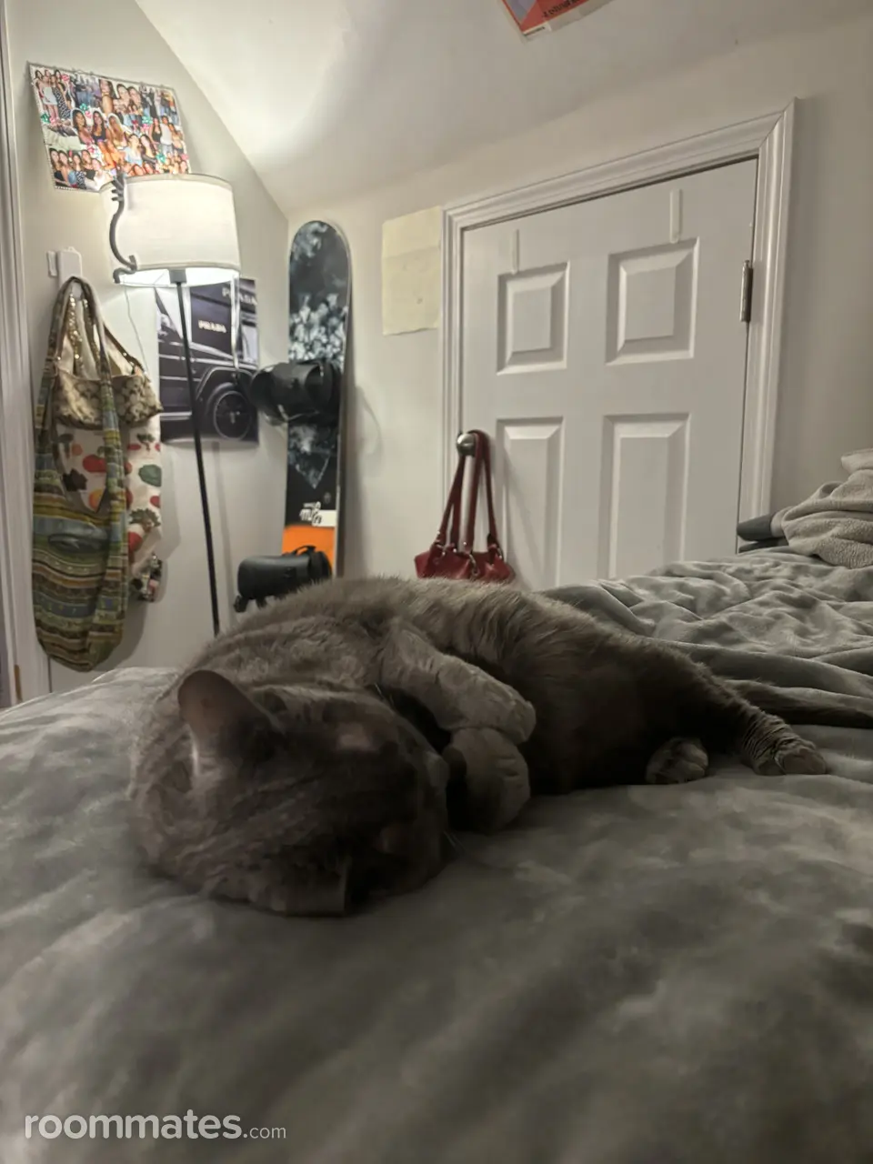 Profile photo 2 of 4