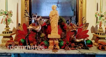 Room for rent in San Diego, CA $800, other