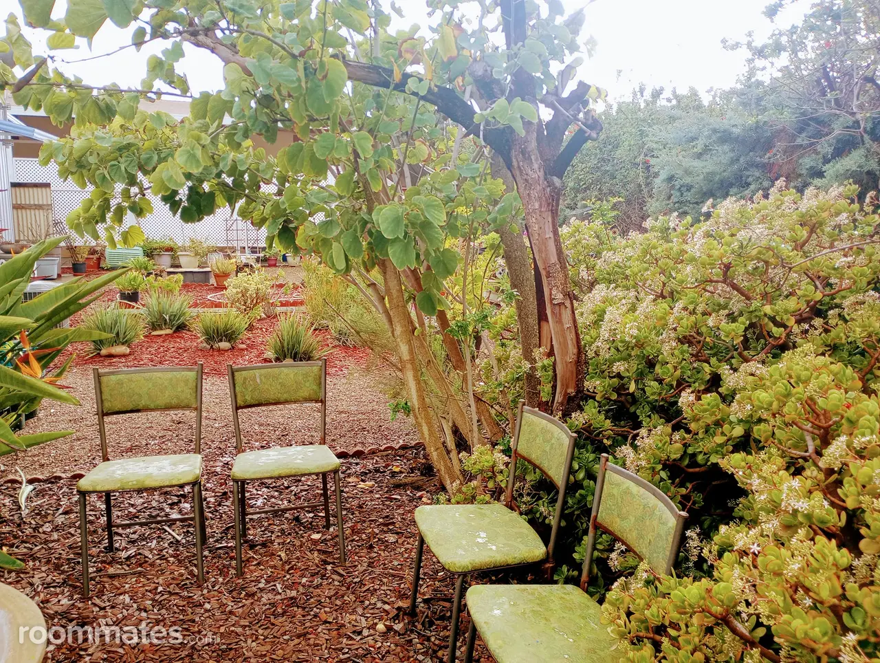 Profile photo 5 of 21