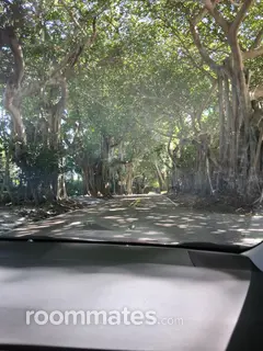 Roommate looking Lake Worth, FL, $800