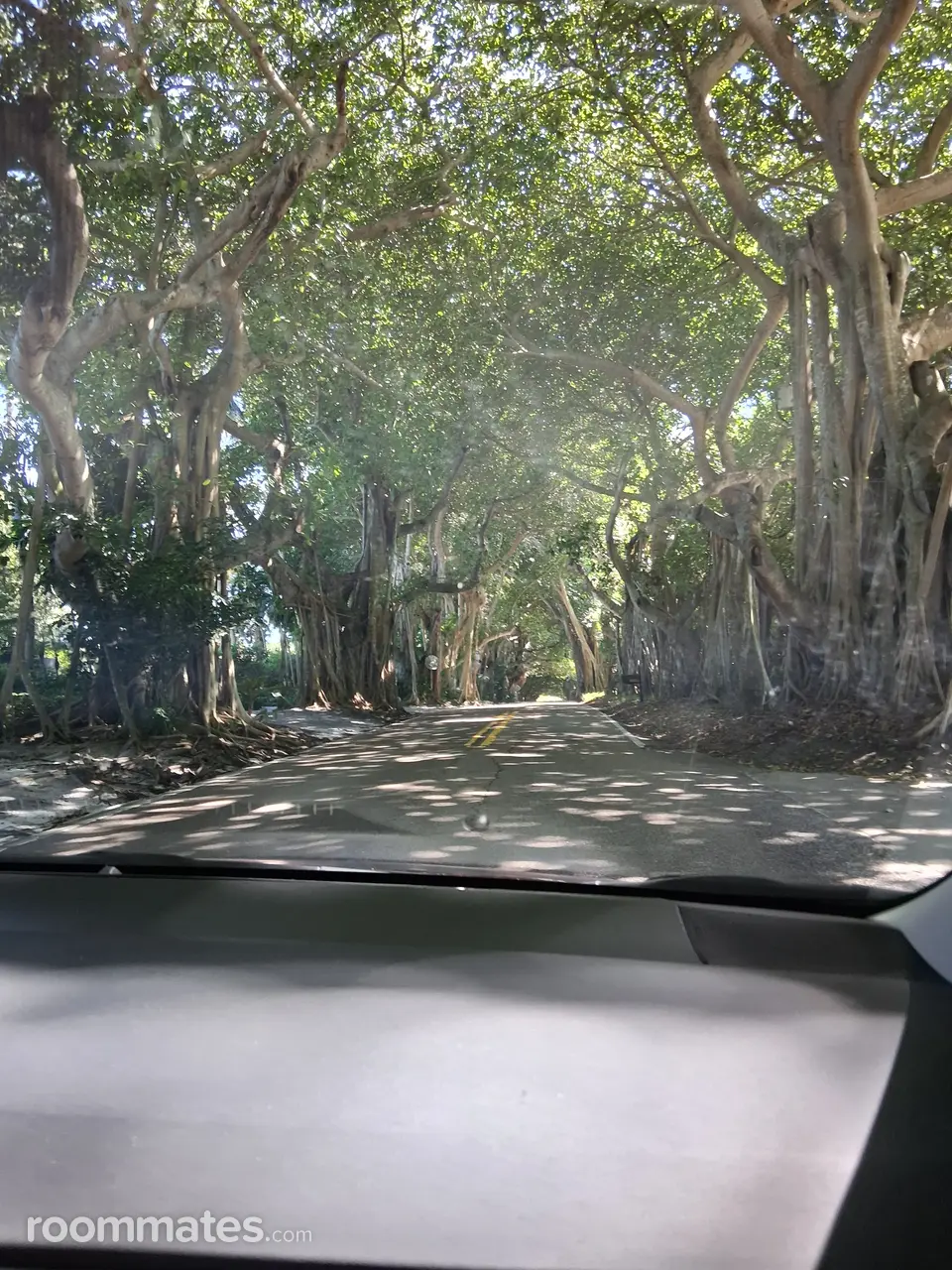 Profile photo 1 of 1