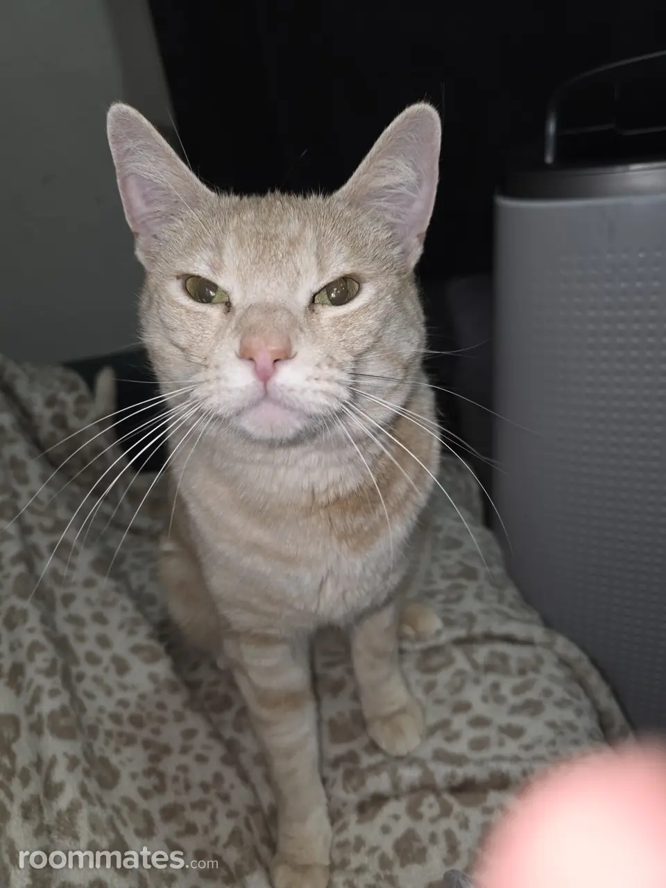 Profile photo 3 of 4