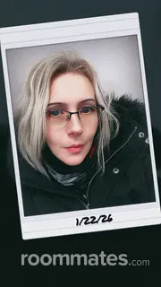 Roommate looking Concord, NH, $800