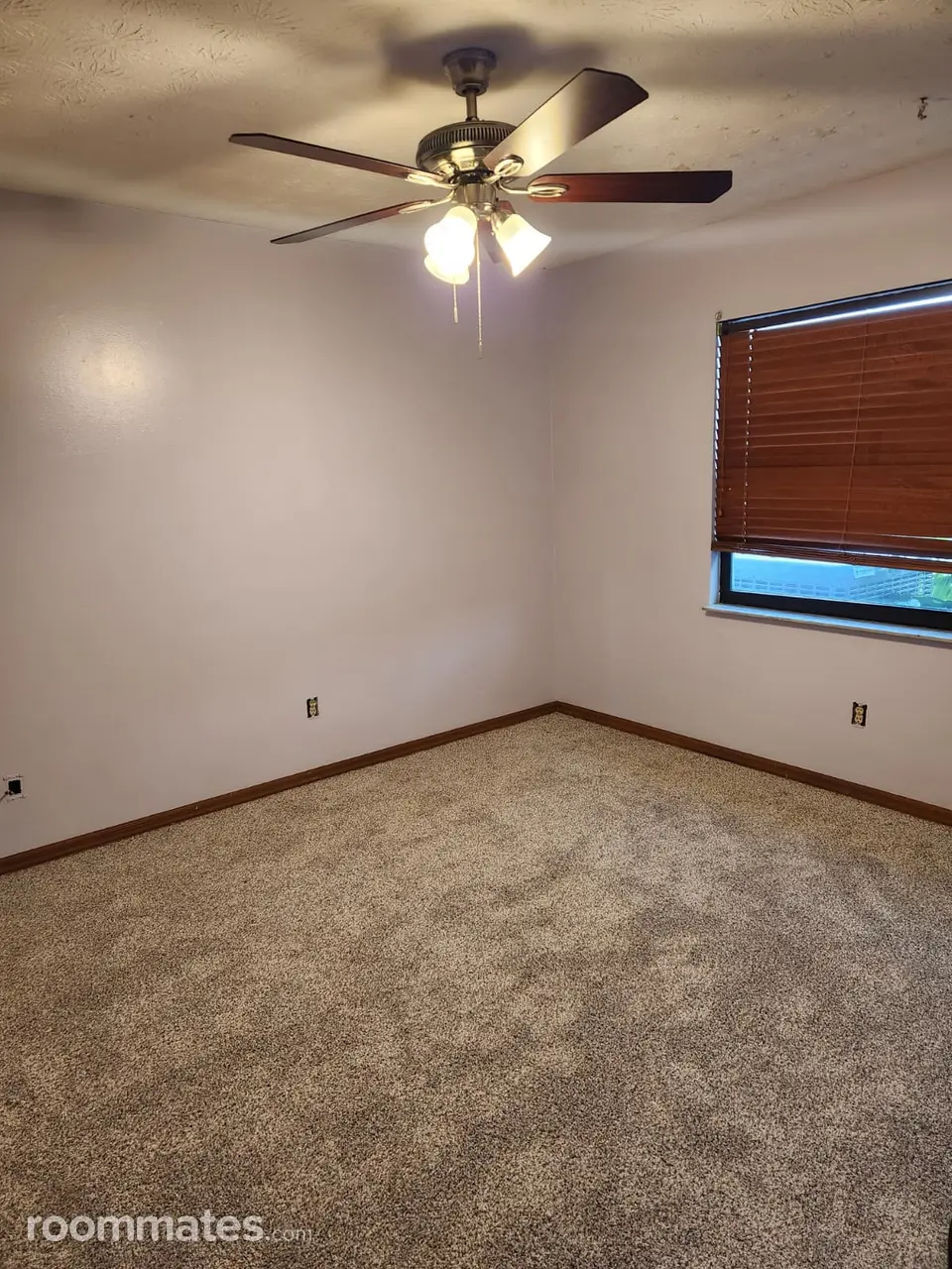 Profile photo 4 of 5