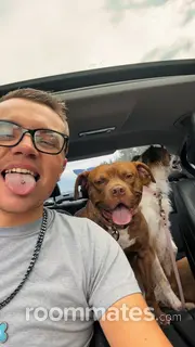 Roommate looking Greensboro NC, $800