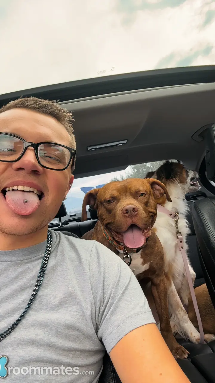 Profile photo 1 of 1