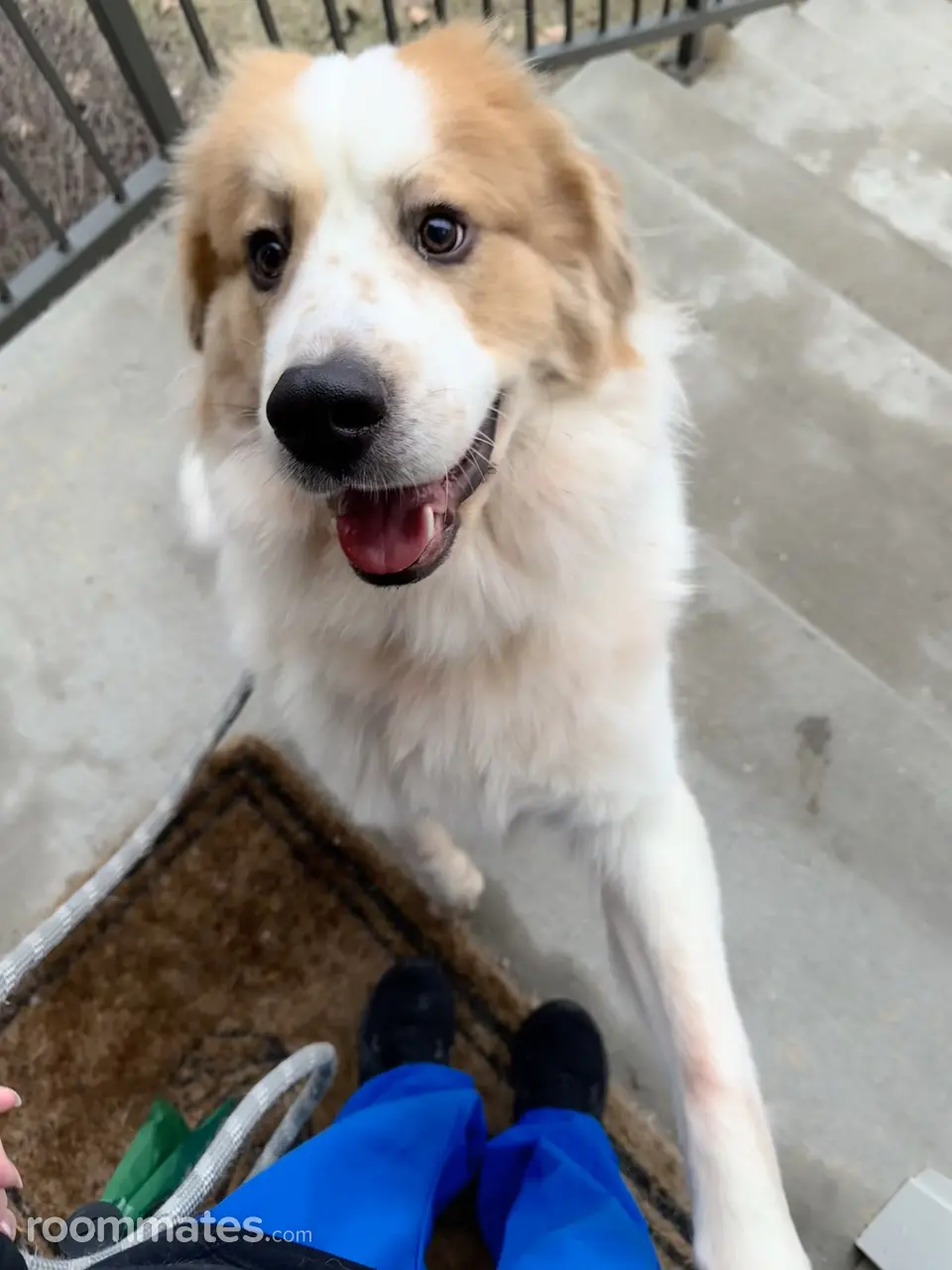 Profile photo 2 of 2