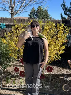 Roommate looking Sparks, NV, $900