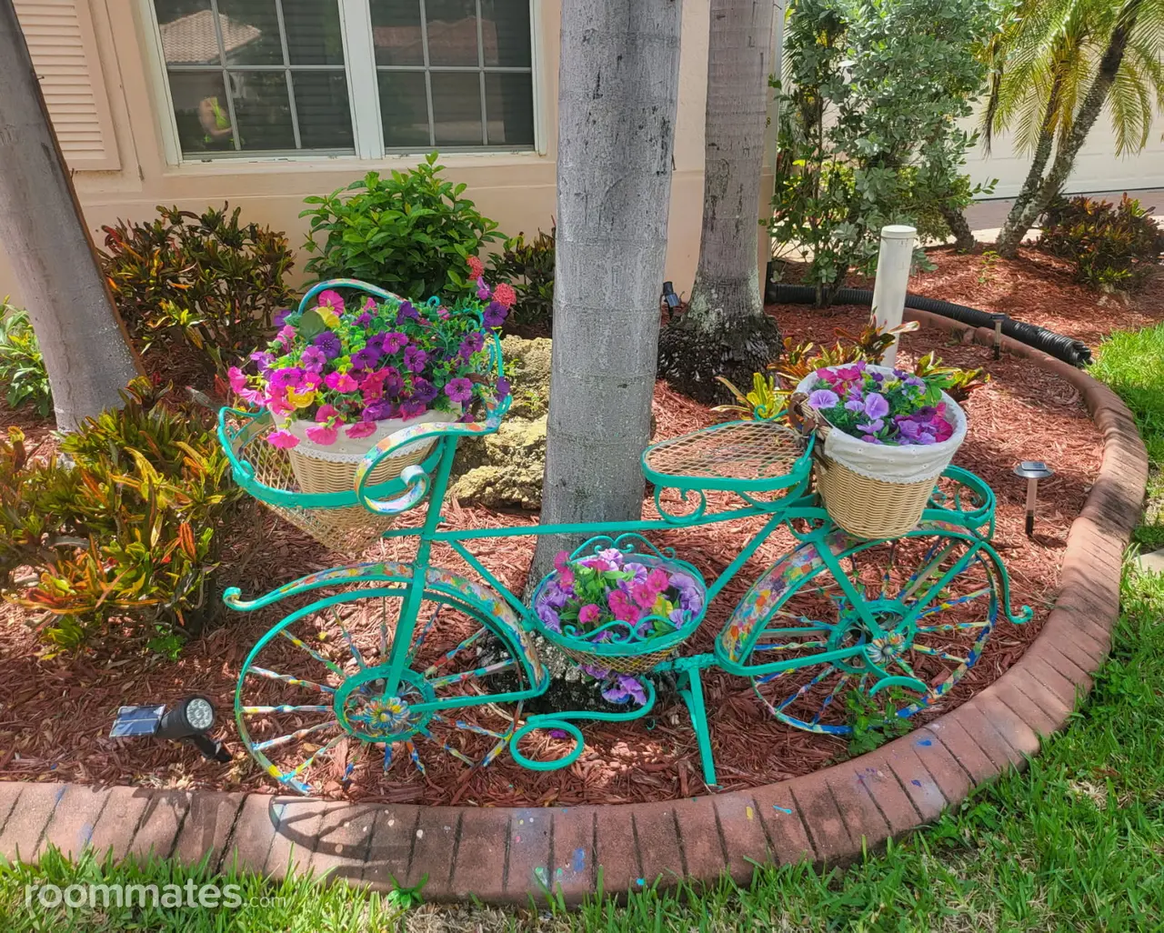 Profile photo 6 of 11