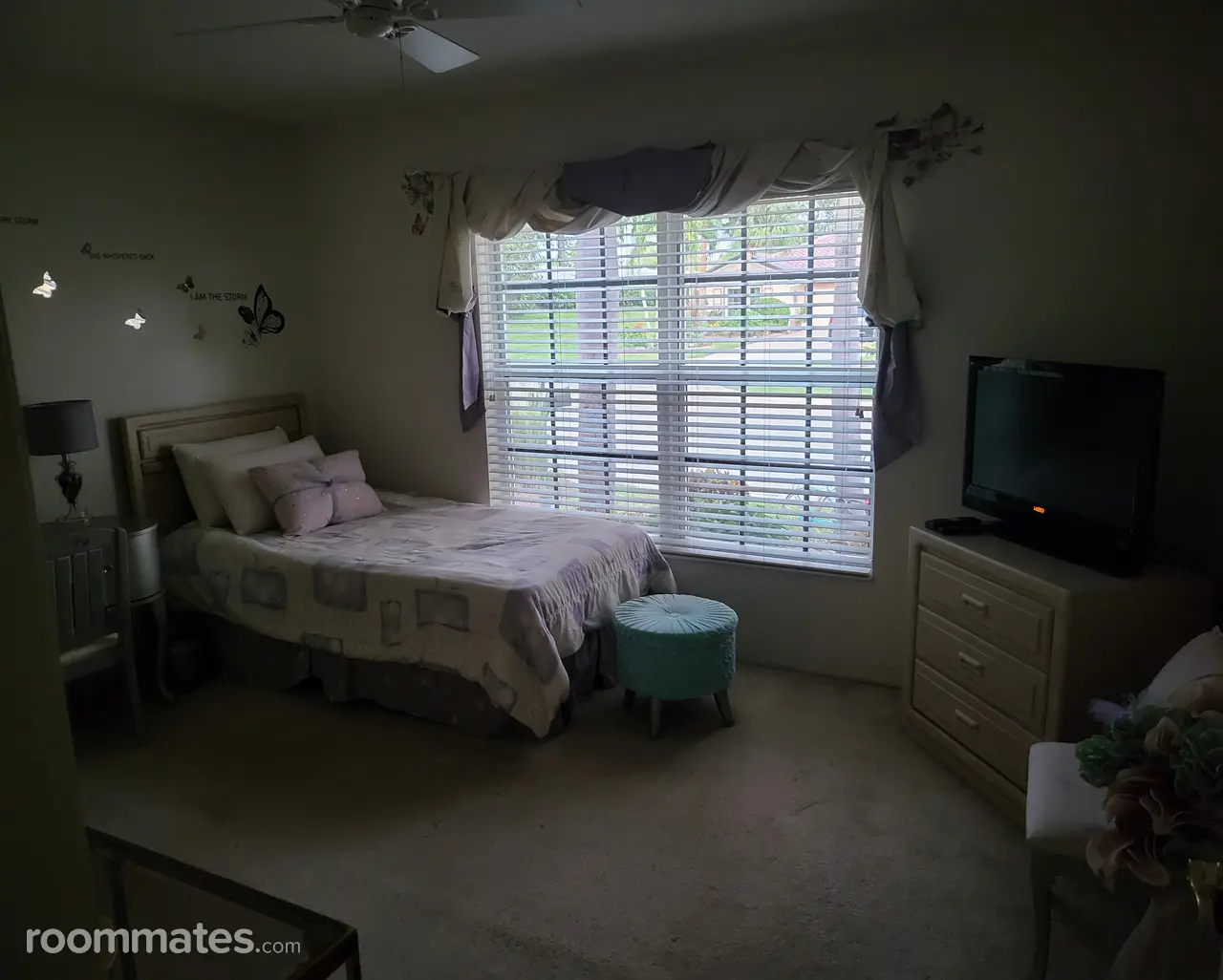 Profile photo 10 of 11