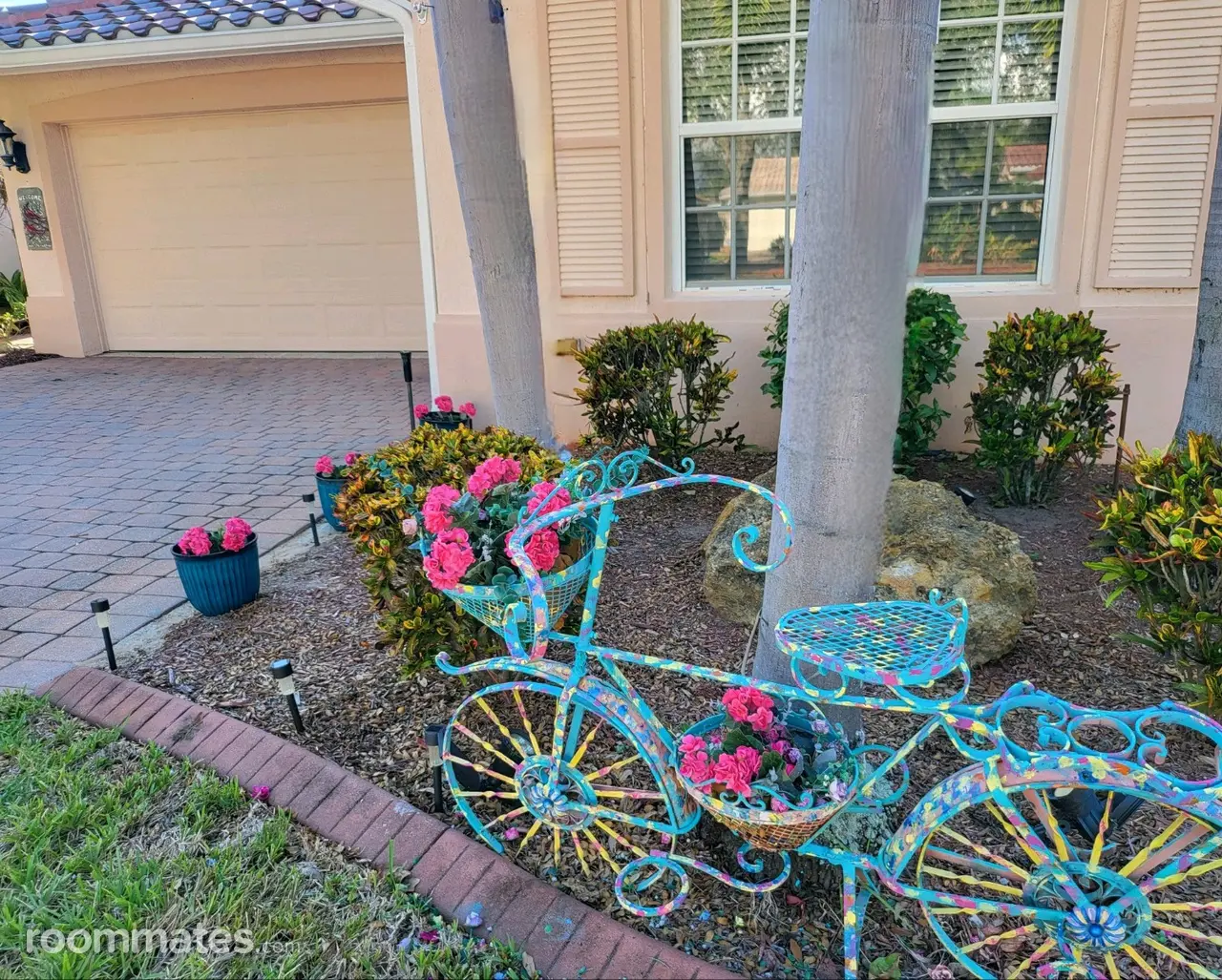 Profile photo 1 of 11