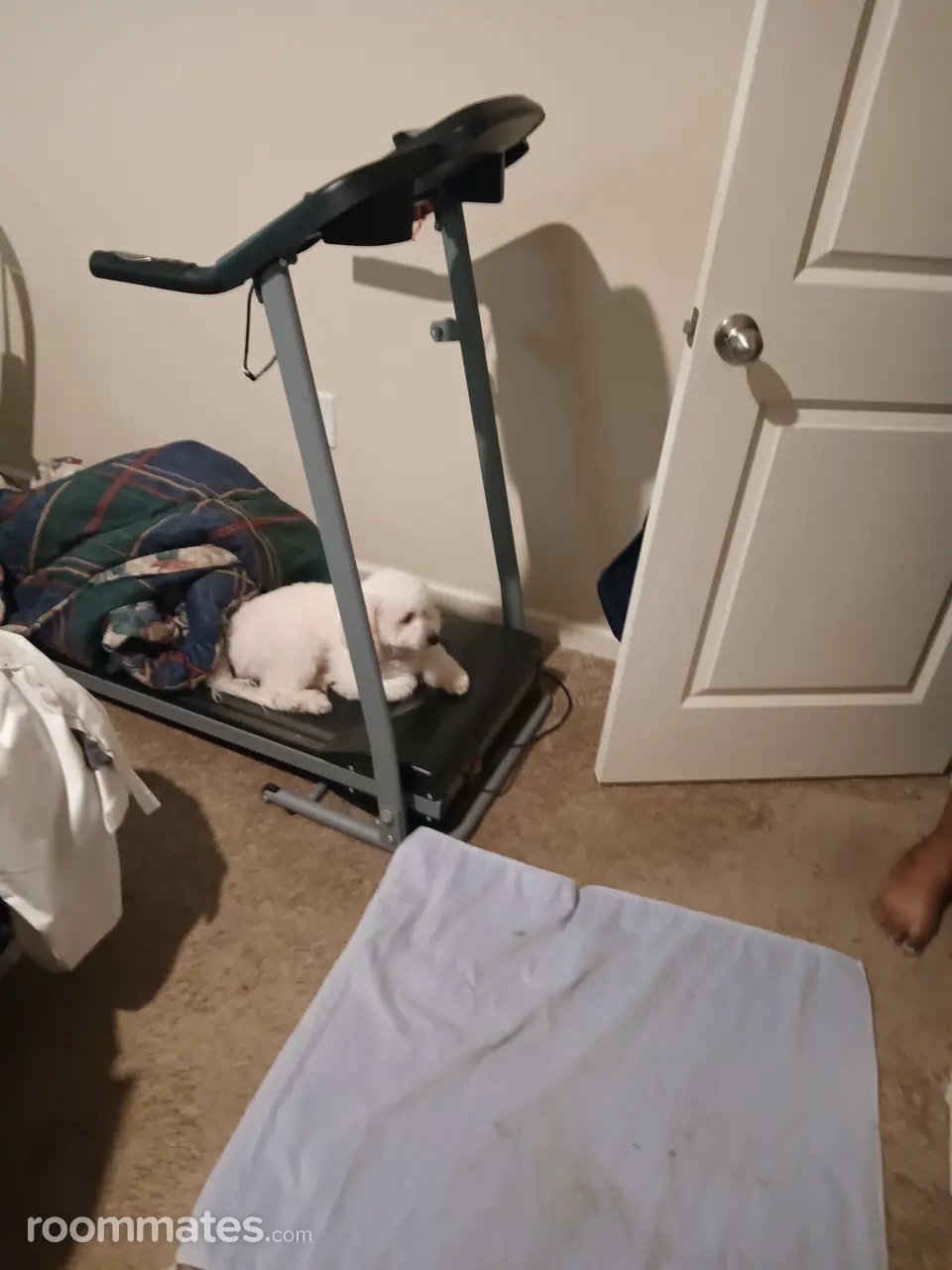 Profile photo 4 of 10