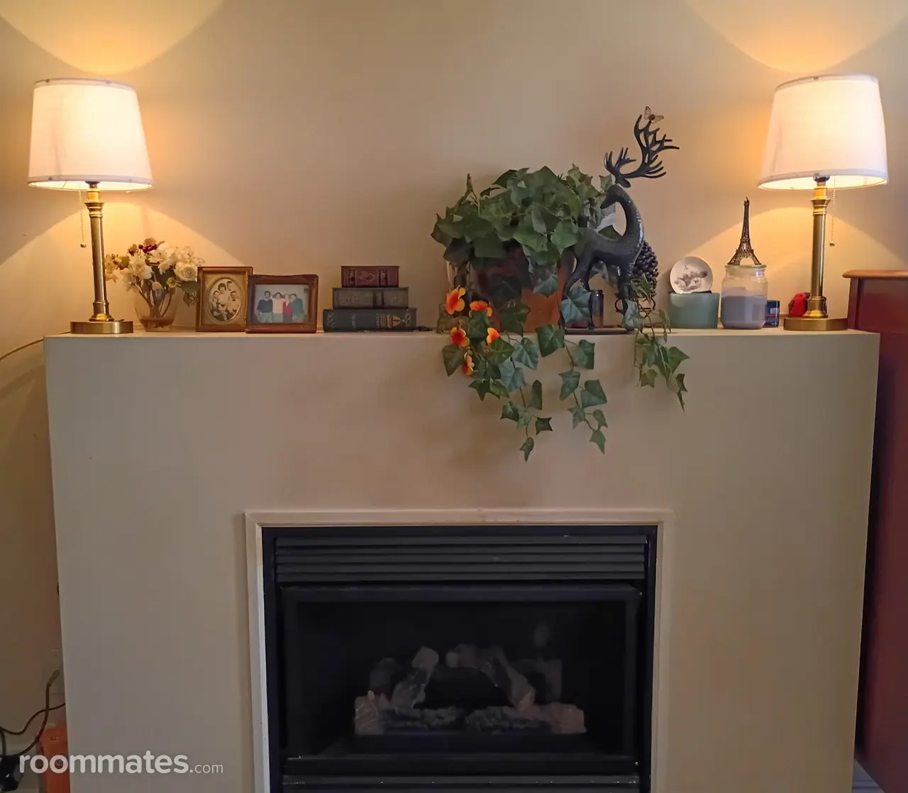 Profile photo 11 of 13