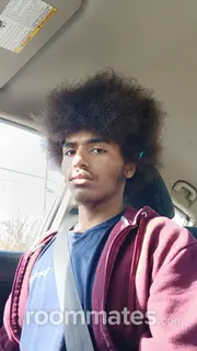 Roommate looking Glen Carbon, IL, $600