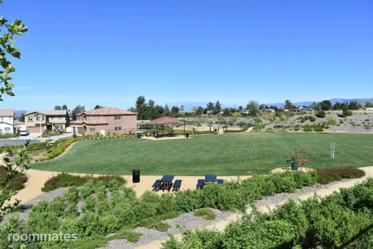 Profile photo 2 of 11