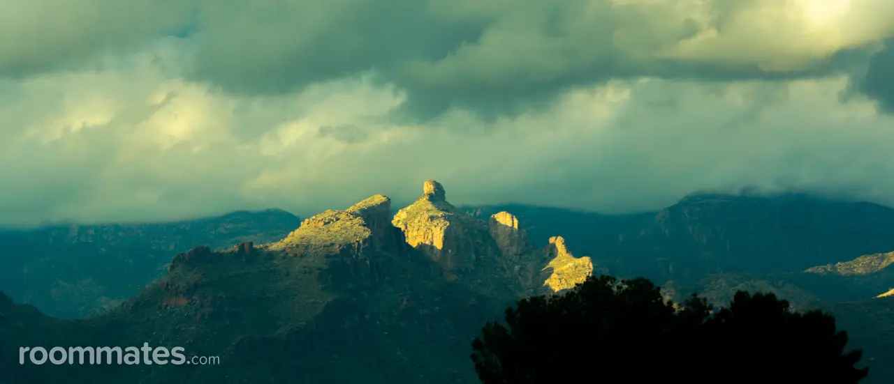 Profile photo 5 of 6