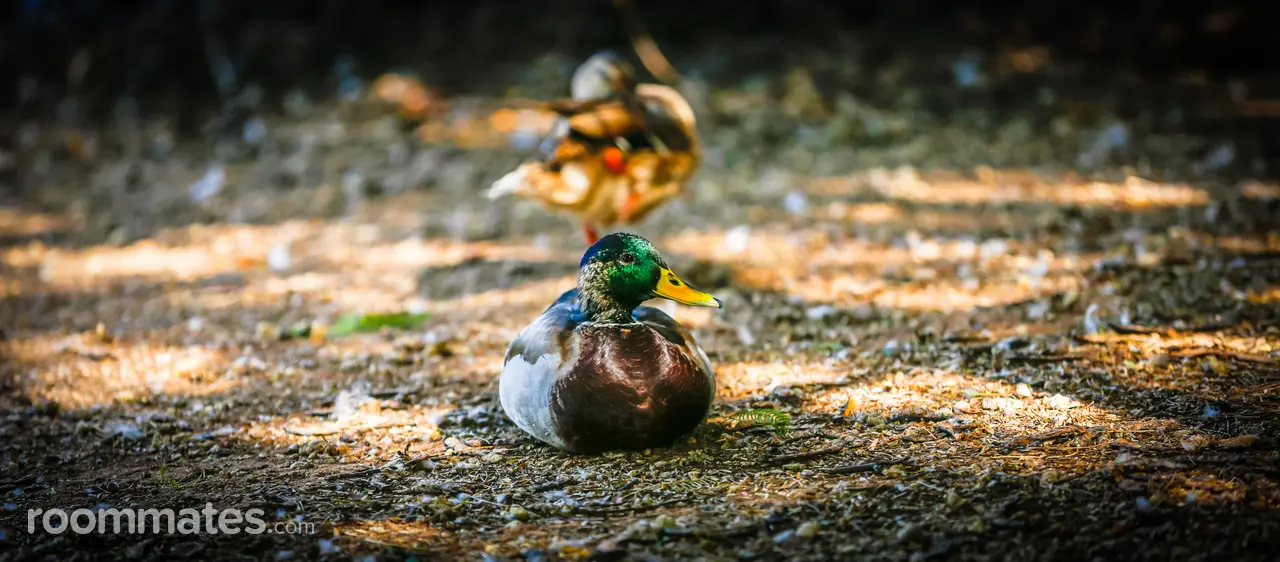 Profile photo 6 of 6