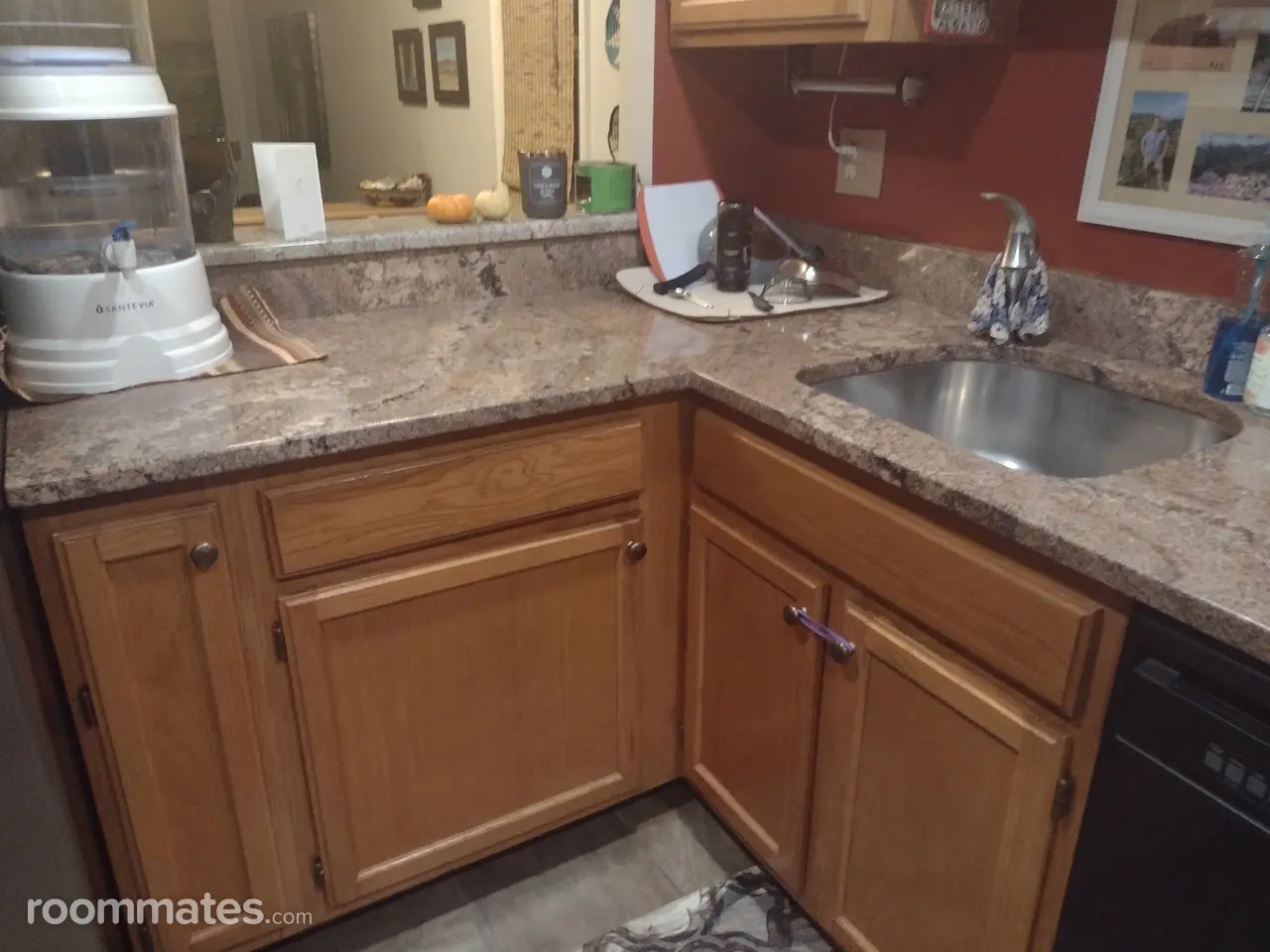 Profile photo 7 of 8