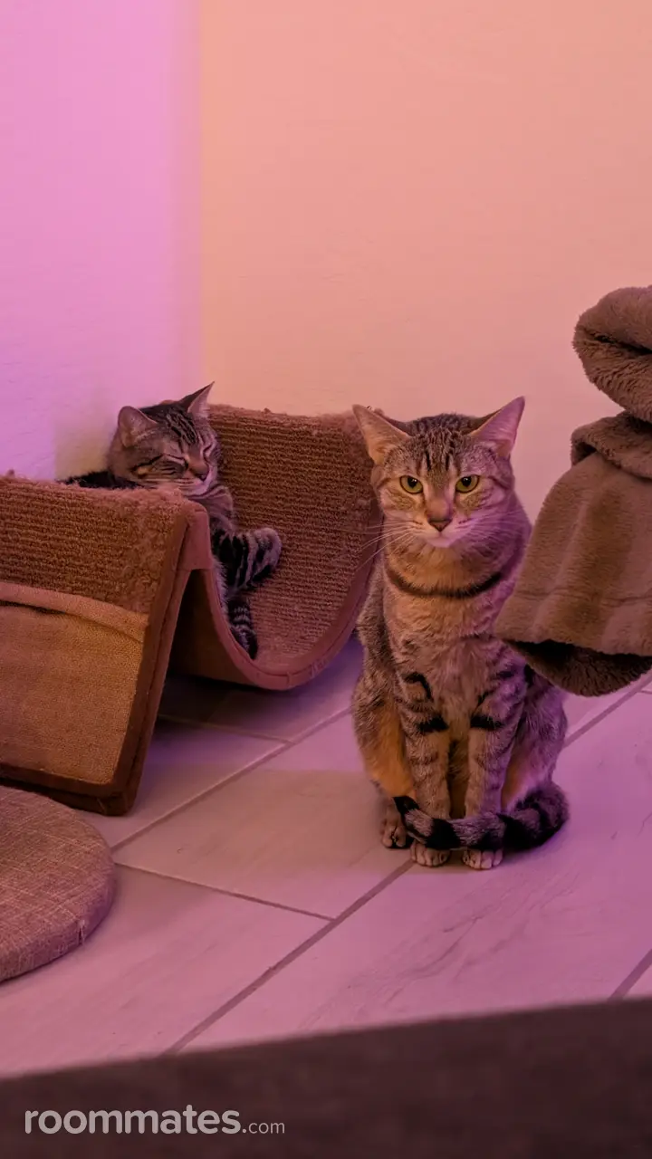 Profile photo 12 of 16