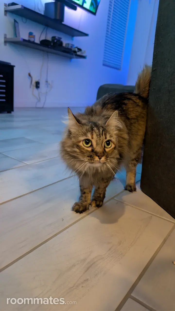 Profile photo 14 of 16