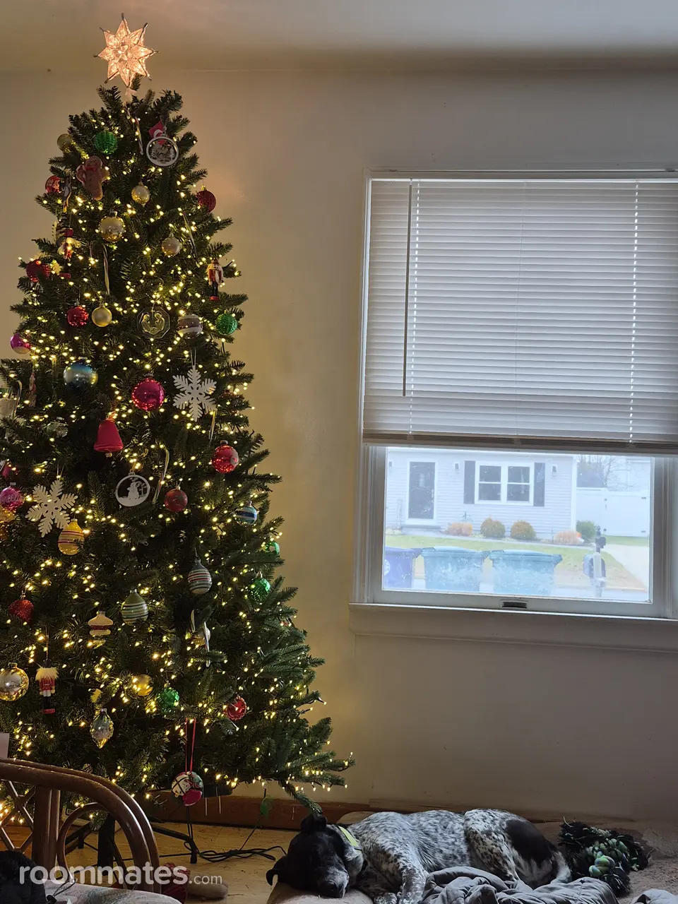 Profile photo 1 of 2