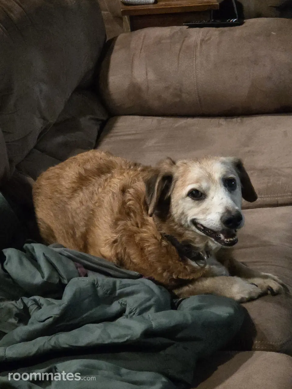 Profile photo 5 of 5