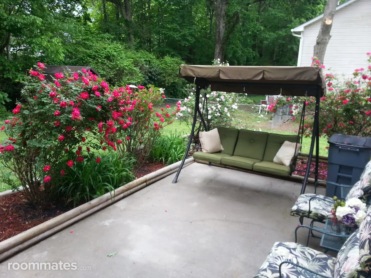 Profile photo 6 of 6