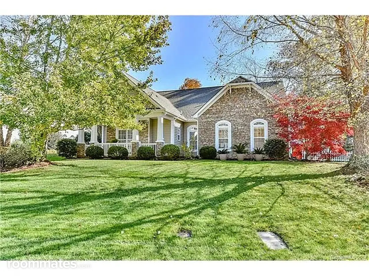 Profile photo 1 of 11