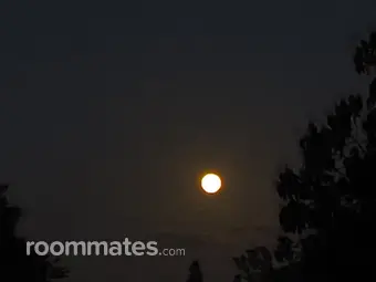 Roommate looking Fort Myers, FL, $1300