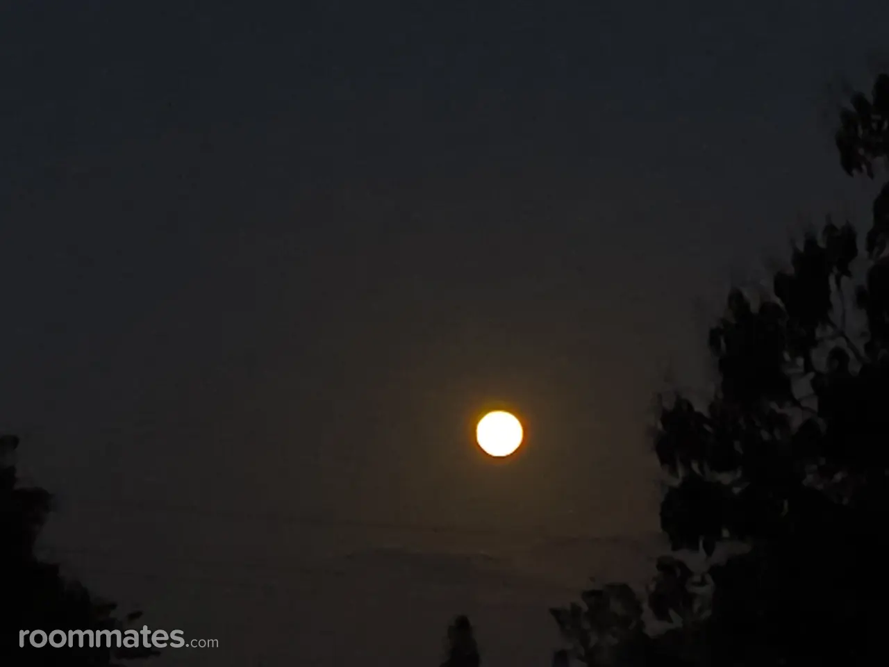 Profile photo 1 of 1