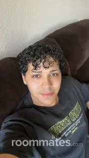 Roommate looking Phoenix, AZ, $800