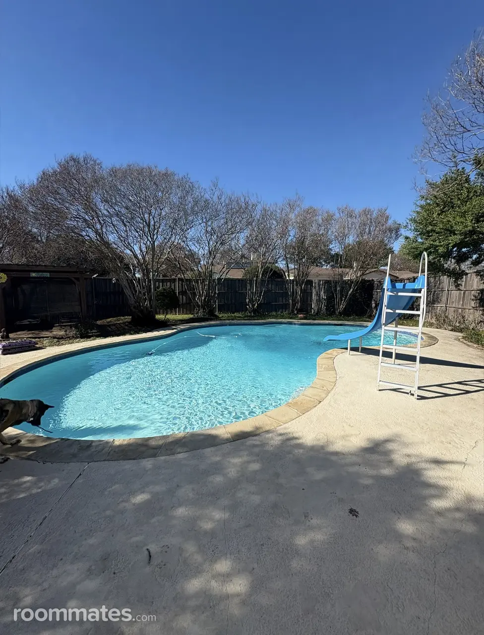 Profile photo 3 of 8