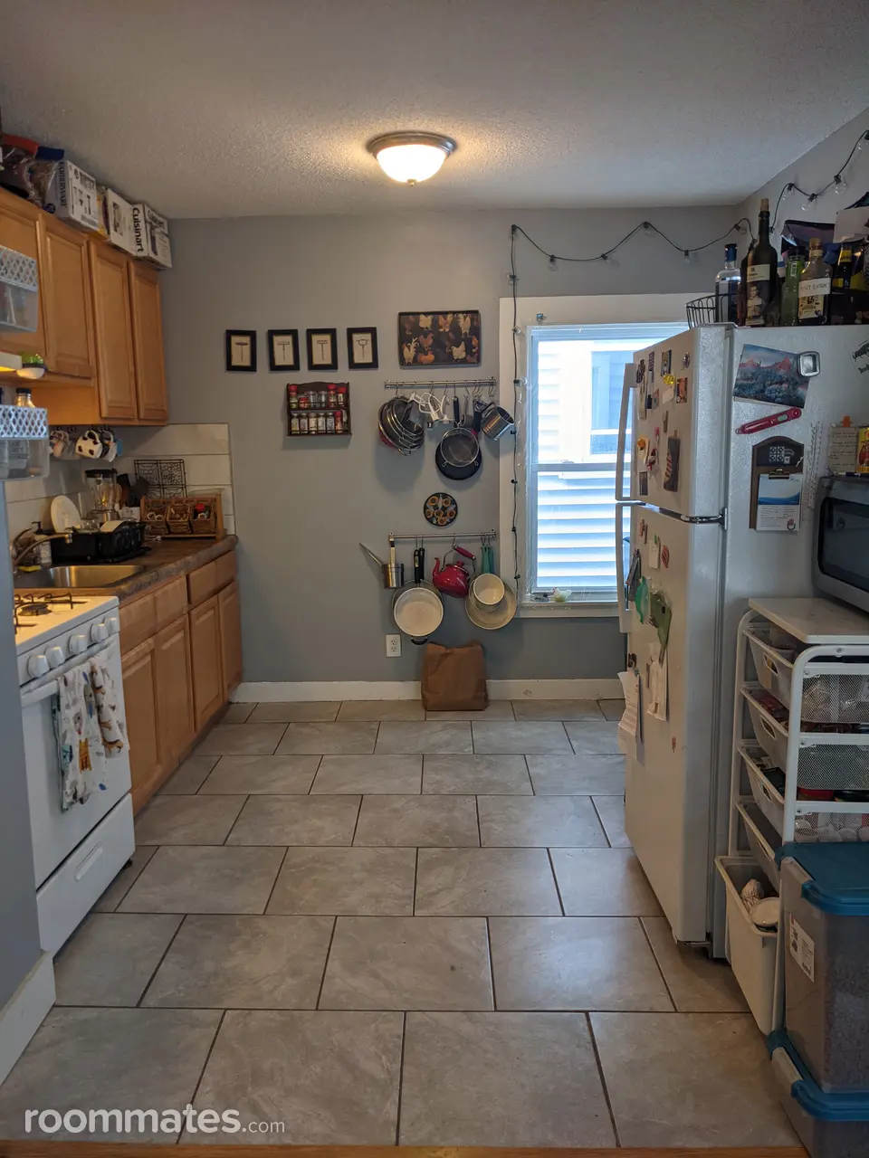 Profile photo 2 of 5