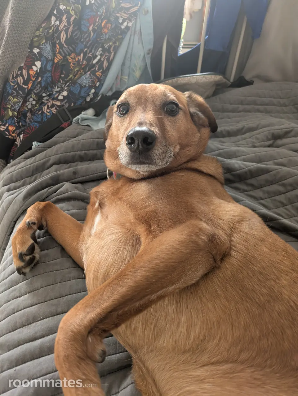 Profile photo 4 of 5