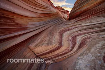 Roommate looking Boulder, CO, $1200