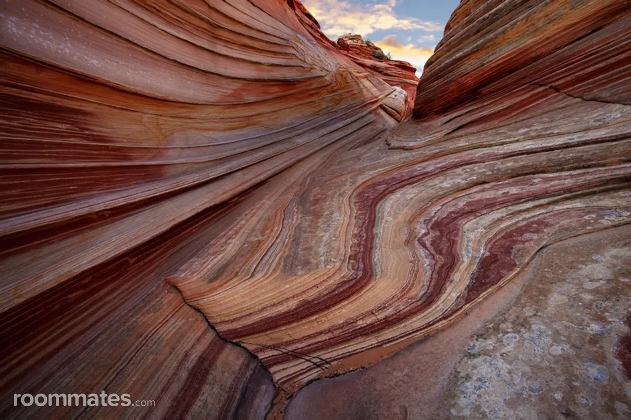 Profile photo 1 of 1