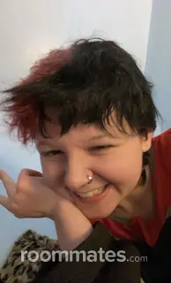 Roommate looking Detroit, MI, $600